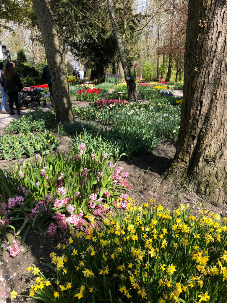 Blomsterparken i Anna Paulowna