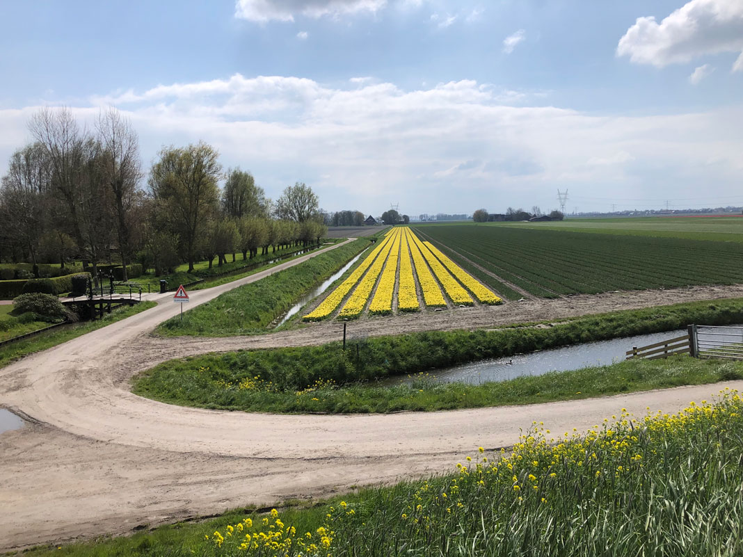 Terrænet i Alkmaar