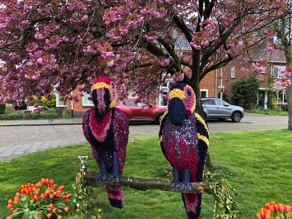 Blomsterskulptur i området omkring The Bloemencorso of the Bollenstreek